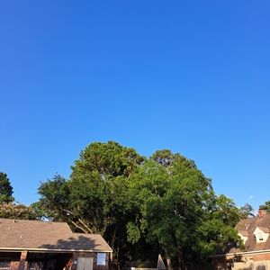 Meet your Posher, Sami